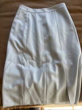Banana Republic Light Blue Pencil Skirt